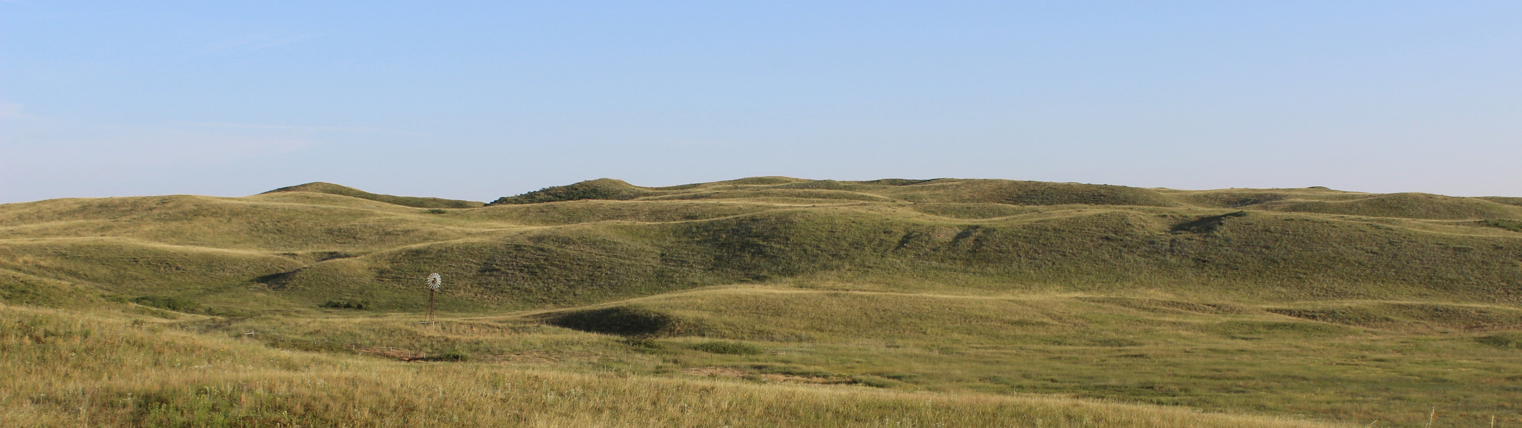 sandhills prairie