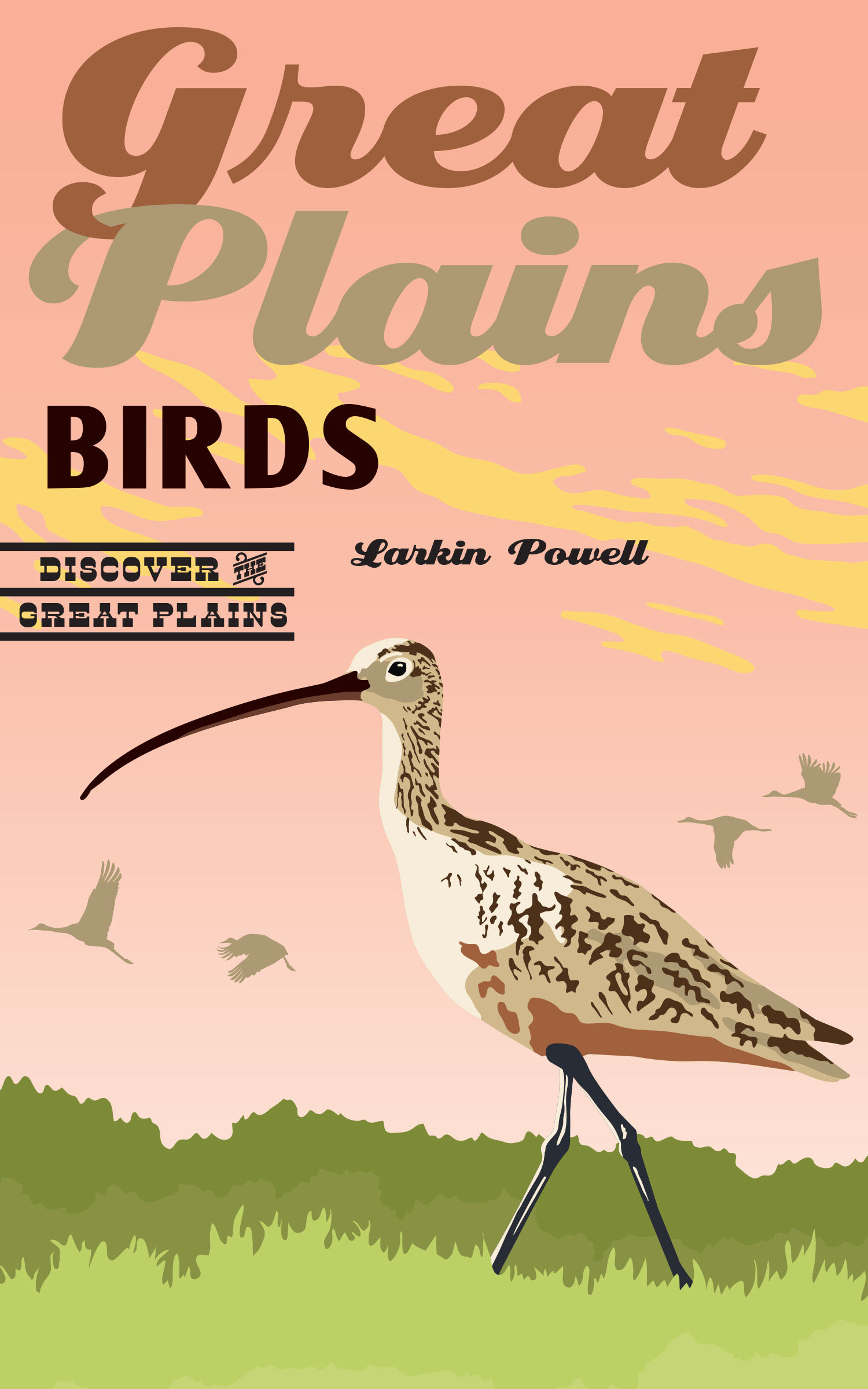 Great Plains Birds cover