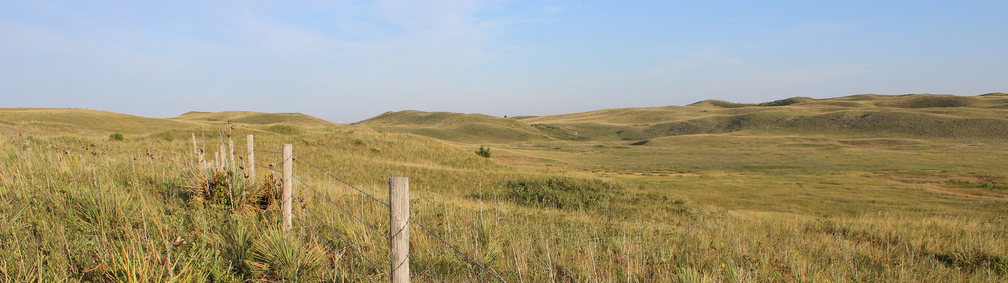 Sandhills landscape