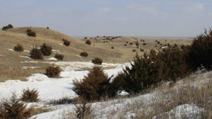 Rolling prairie hills with scattered evergreen shrubs, patches of snow, and a blue sky above.