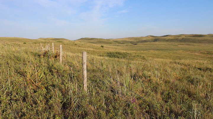 Sandhills landscape with fence