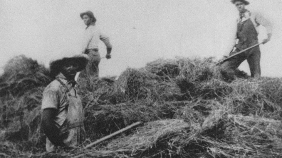 Black homesteading family