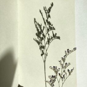 shadow-art-activity