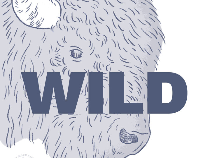 Wild Great Plains