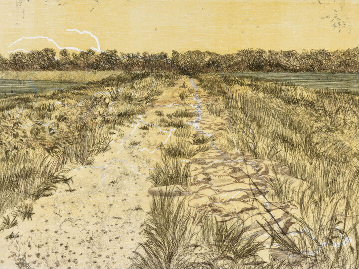 Amanda Maciuba artwork