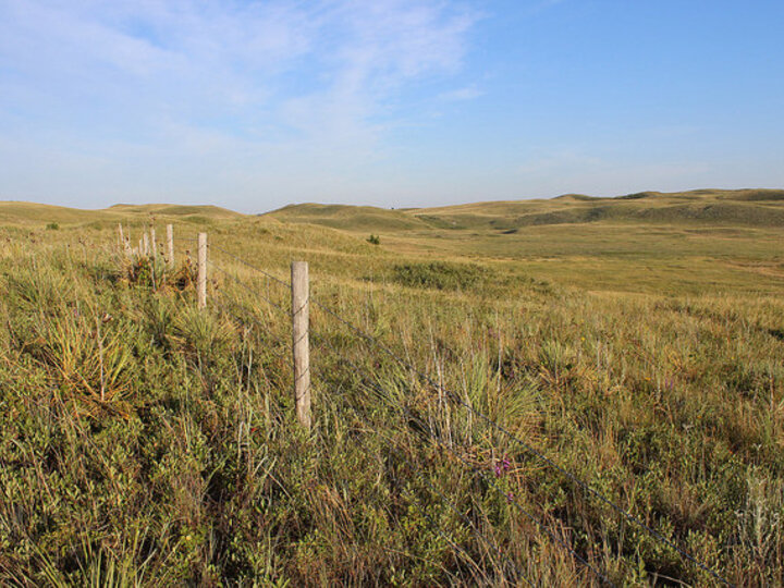 Sandhills landscape with fence