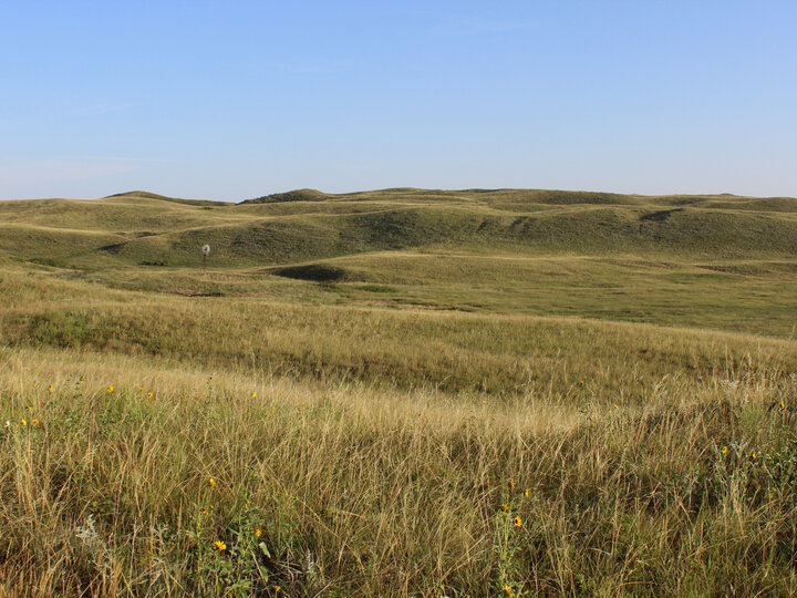 Sandhills landscape