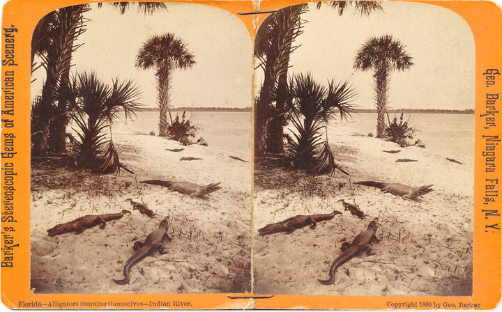 George Barker stereoscope