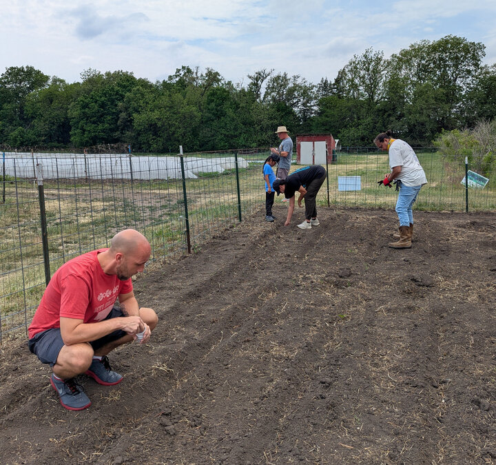 Group planting seeds in a garden near a fence with trees in the background.