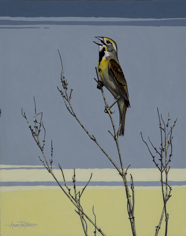 Anne Peyton painting